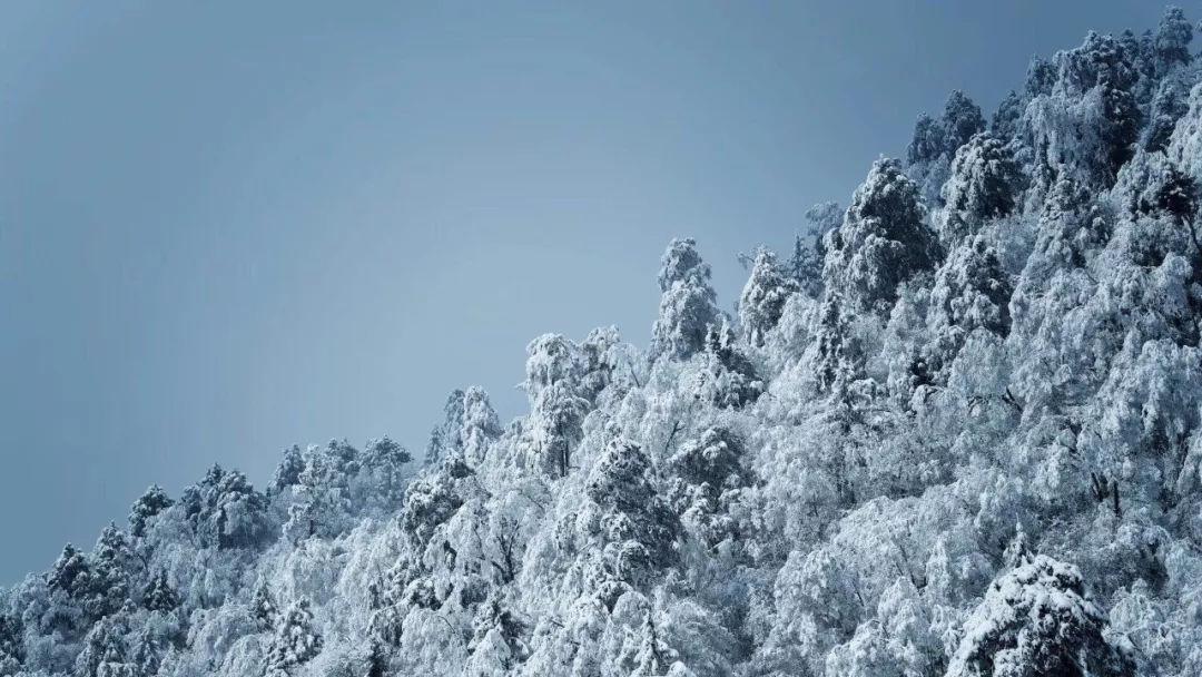 拯救精灵的土地6