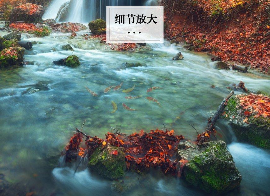 年货节即将来临，这几部手机最值得入手